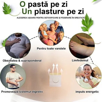 👩🏻‍⚕️Cvreoz™ plasture de slăbire cu venin de albine⭐(pentru toate problemele limfatice și obezitate)